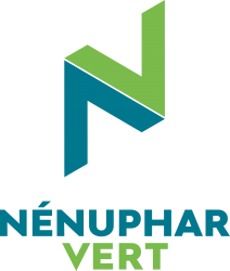 Nénuphar Vert
