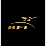 www.bfigroupe.com