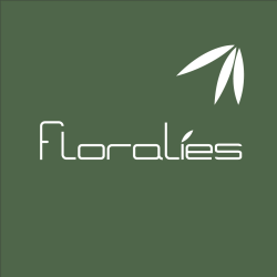 Technico-commercial(e) | Architecture d'intérieur, Design & Aménagement Paysager