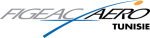 www.figeac-aero.com