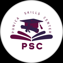 Sales Executive